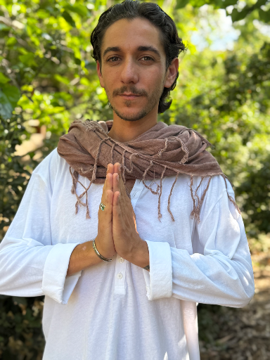 גל נועם שיף