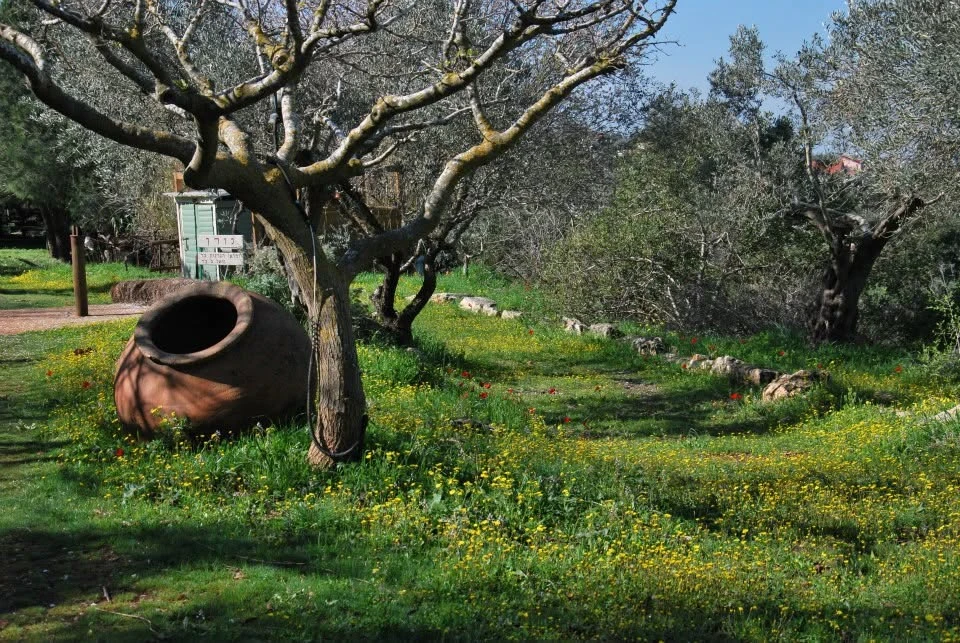 לפגוש את השמחה — תמונה 2